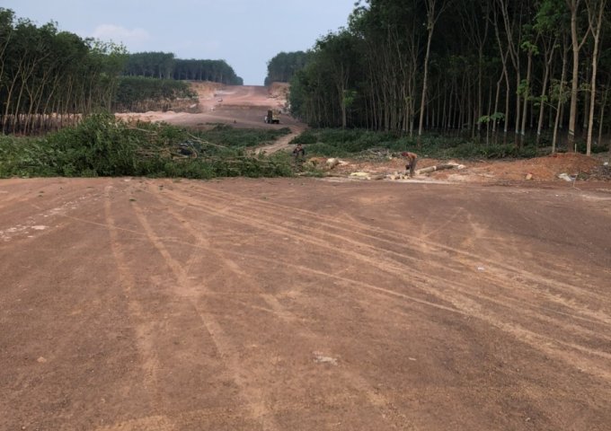 BÁN ĐẤT NỀN TUYẾN SỐ 3 ĐƯỜNG 42M KCN BECAMEX ĐỒNG PHÚ 6300HA