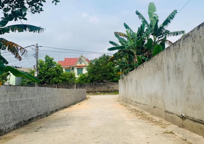 Bán lô đất ngõ Phạm Văn Hai, Lộc Ninh diện tích 147m2 giá nét 