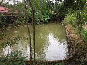 Chính chủ cần bán nhà tại Tổ 3 – Thị trấn Việt Quang - Bắc Quang - Hà Giang