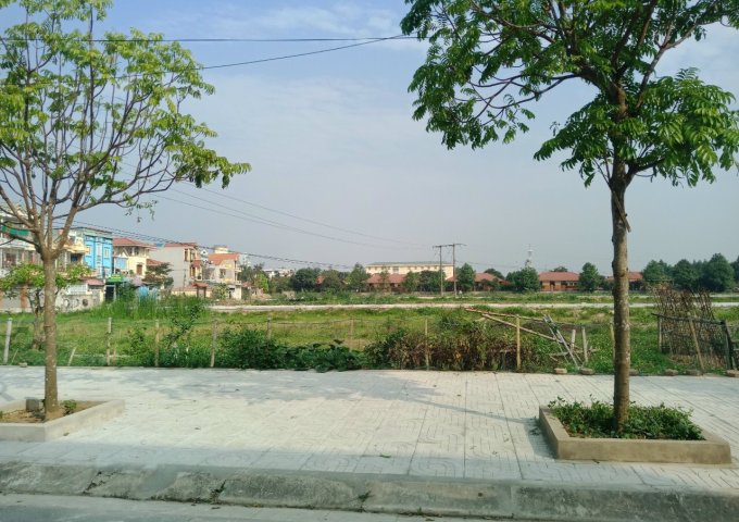 Chính chủ cần bán lô LK 3 mặt bằng phường Quảng Hưng Central Point, cạnh SOS TP Thanh Hoá.