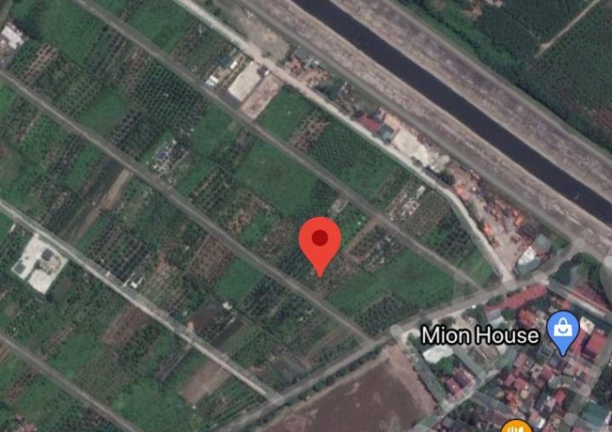 CẦN BÁN GẤP 388M2 ĐẤT 50 NĂM CÓ SỔ ĐỎ CHÍNH CHỦ TẠI YÊN MĨ - THANH TRÌ