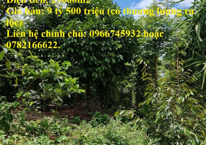 Cần bán lô đất vườn ăn trái kèm thổ cư cực hot huyện Di Linh, tỉnh Lâm Đồng