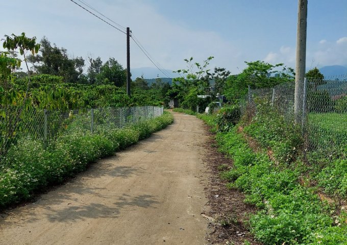 1,2 ha đất đẹp bằng phẳng tại Lộc Thành 2 mặt tiền đường xe tải