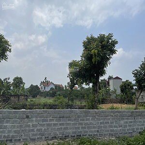 Cần bán 3 lô đất tại xã Thủy Xuân Tiên, Chương Mỹ, Hà Nội