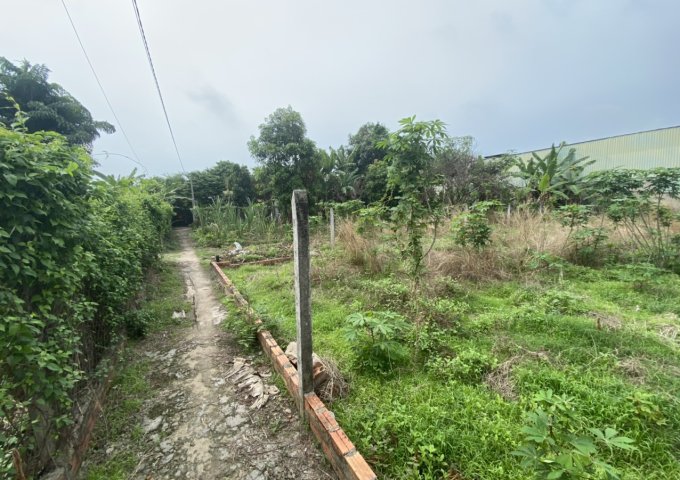 CHÍNH CHỦ BÁN 260M2 ĐẤT TRỒNG CÂY LÂU NĂM XÃ TÂN HIỆP, HUYỆN HÓC MÔN, TP. HCM