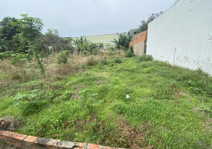 CHÍNH CHỦ BÁN 260M2 ĐẤT TRỒNG CÂY LÂU NĂM XÃ TÂN HIỆP, HUYỆN HÓC MÔN, TP. HCM