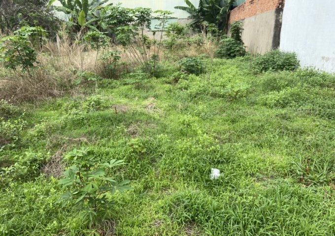 CHÍNH CHỦ BÁN 260M2 ĐẤT TRỒNG CÂY LÂU NĂM XÃ TÂN HIỆP, HUYỆN HÓC MÔN, TP. HCM