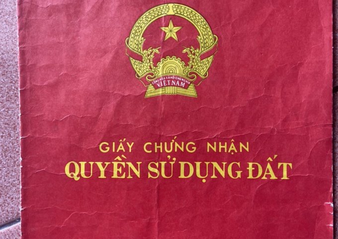 CHÍNH CHỦ BÁN 260M2 ĐẤT TRỒNG CÂY LÂU NĂM XÃ TÂN HIỆP, HUYỆN HÓC MÔN, TP. HCM