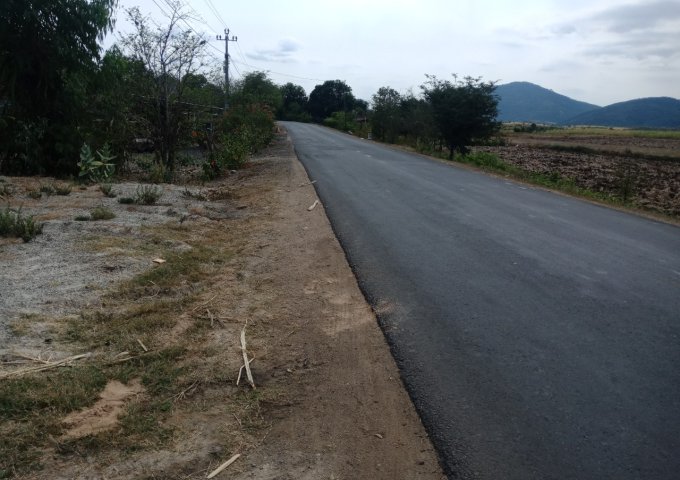 Bán đất thổ cư tại Quốc lộ 19C Thôn Tân An, huyện Sơn Hòa, tỉnh Phú Yên