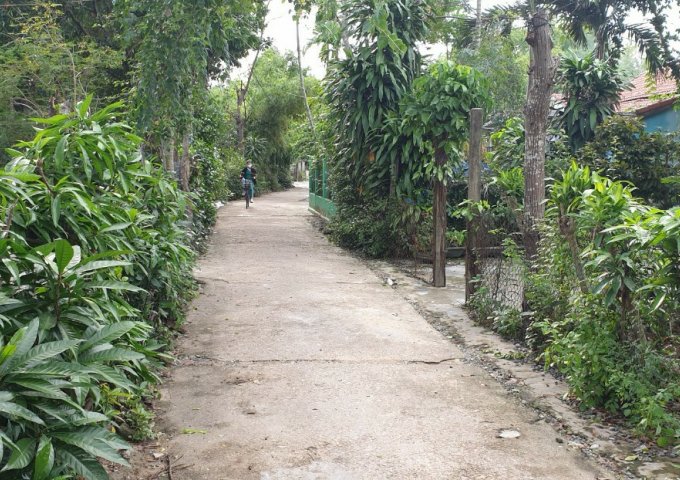 BÁN LÔ ĐẤT ĐẸP THÔN YẾN NÊ 1, XÃ HÒA TIẾN, HÒA VANG, ĐÀ NẴNG