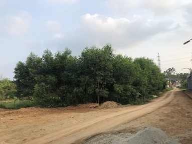 BÁN ĐẤT KHU 10, XÃ PHÙ NINH, HUYỆN PHÙ NINH, PHÚ THỌ.