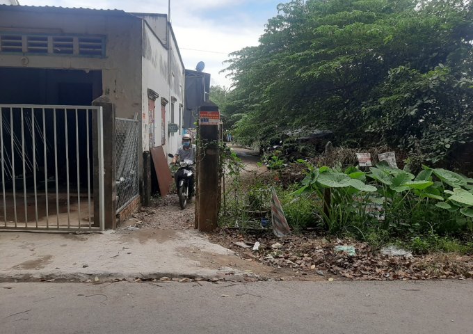 CẦN BÁN 10 TRỌ VÀ 1 CĂN NHÀ CẤP 4 MÀ GIÁ CHỈ BẰNG GIÁ ĐẤT TẠI PHƯỜNG TÂN ĐỊNH, BẾN CÁT, BÌNH DƯƠNG