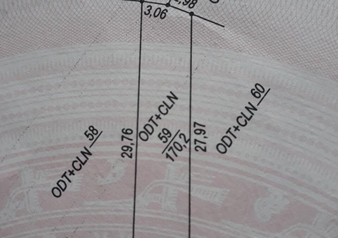 Lê Trọng Tấn - Bắc lý Đồng Hới