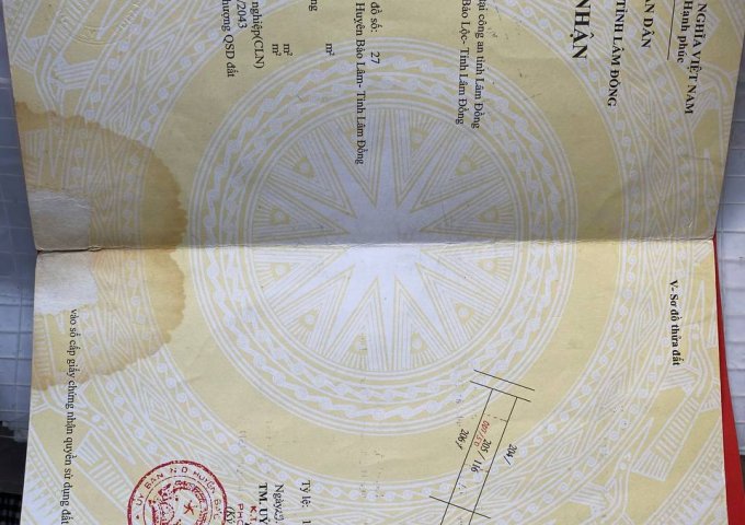 Chi tiết đất huyện bảo lâm 250m2 - tấn