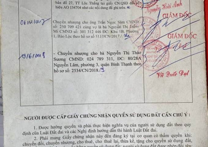 Chi tiết đất huyện bảo lâm 250m2 - tấn