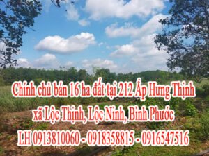 Chính chủ cần bán đất tại 212 Ấp Hưng Thịnh, xã Lộc Thịnh, Lộc Ninh, Bình Phước