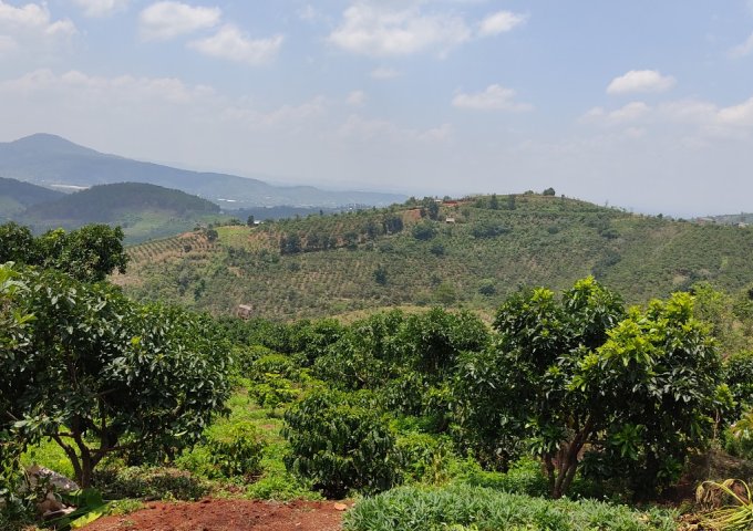 CẦN BÁN HƠN 1HA ĐẤT VIEW ĐỒI TẠI NAM HÀ – LÂM HÀ – LÂM ĐỒNG. LIÊN HỆ: 087.7798.696