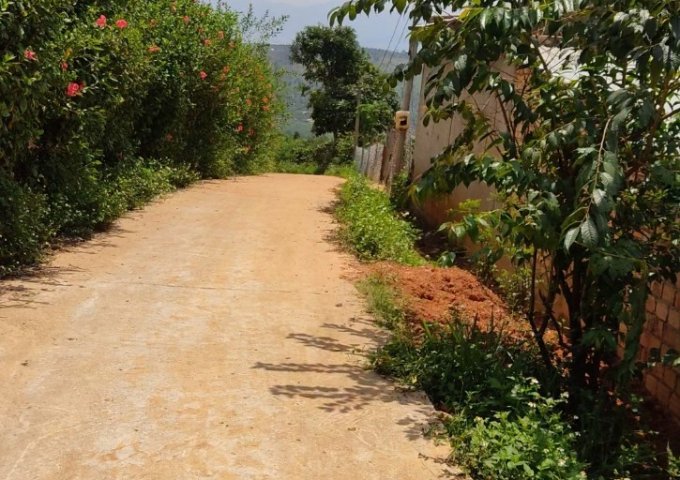 CẦN BÁN HƠN 1HA ĐẤT VIEW ĐỒI TẠI NAM HÀ – LÂM HÀ – LÂM ĐỒNG. LIÊN HỆ: 087.7798.696