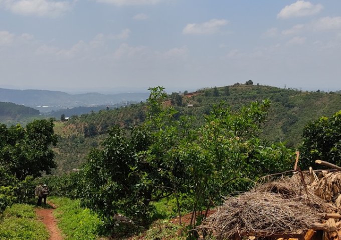 CẦN BÁN HƠN 1HA ĐẤT VIEW ĐỒI TẠI NAM HÀ – LÂM HÀ – LÂM ĐỒNG. LIÊN HỆ: 087.7798.696