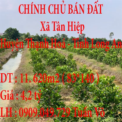 CHÍNH CHỦ BÁN ĐẤT XÃ TÂN HIỆP HUYỆN THẠNH HÓA TỈNH LONG AN