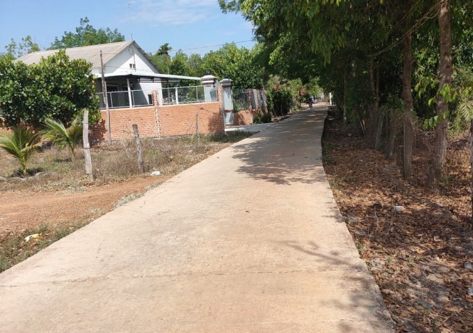 CHÍNH CHỦ BÁN GẤP LÔ ĐẤT GIÁ ĐẦU TƯ 381.7M2 . GIÁ 1.55 TỶ , TẠI KHU PHỐ TẦU Ô, TÂN KHAI, HỚN QUẢN , BÌNH PHƯỚC