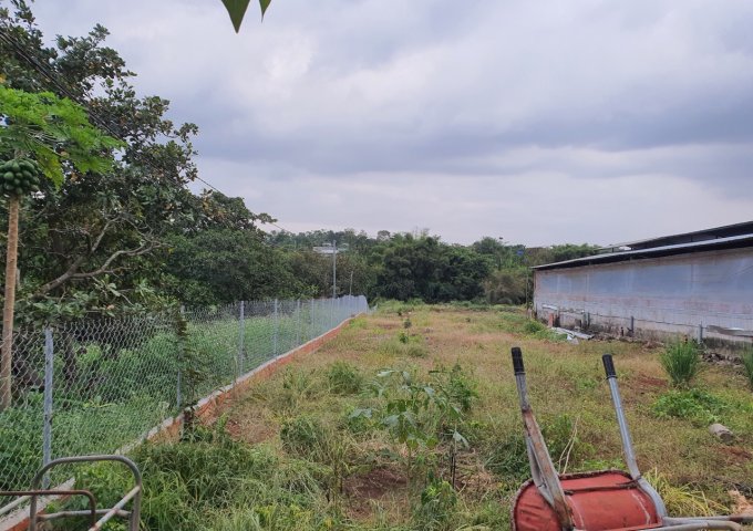 CHỦ CẦN SANG GẤP TRẠI HEO QUY MÔ 800 MỚI ĐẦU TƯ TẠI XÃ XUÂN MỸ, HUYỆN CẨM MỸ, TỈNH ĐỒNG NAI. 2% CHO MÔI GIỚI