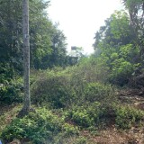 CHÍNH CHỦ BÁN LÔ ĐẤT GIÁ ĐẦU TƯ TẠI THÔN 1 XÃ EA TIÊU. HUYỆN HUYỆN CƯ KUIN, ĐẮK LẮK