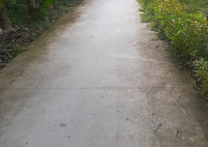 CẦN BÁN LẠI LÔ ĐẤT Ở ẤP GIÁP NƯỚC, XÃ PHƯỚC HẠNH, TP MỸ THO, TIỀN GIANG