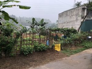 Chính chủ cần bán lô đất tại Khu 5 Phù Ninh– Việt Trì – Phú Thọ.