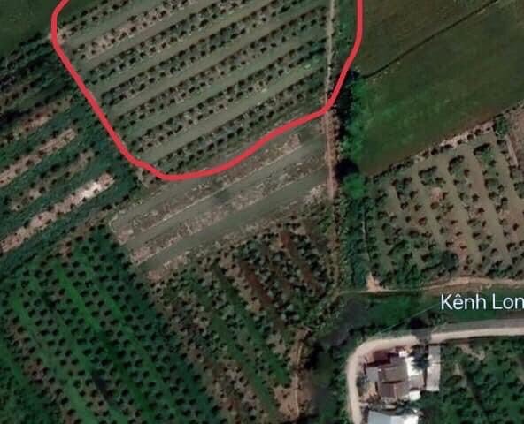 CHÍNH CHỦ BÁN LÔ ĐẤT VƯỜN TẠI LONG ĐIỀN B, HUYỆN CHỢ MỚI, AN GIANG