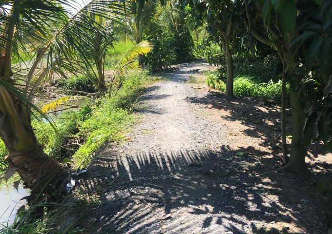 CHÍNH CHỦ BÁN LÔ ĐẤT VƯỜN TẠI LONG ĐIỀN B, HUYỆN CHỢ MỚI, AN GIANG