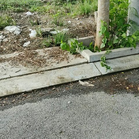 KẸT TIỀN DO LÀM ĂN CẦN BÁN GẤP MIẾNG ĐẤT NỀN Ở PHƯỚC LÂM, CẦN GIUỘC, LONG AN