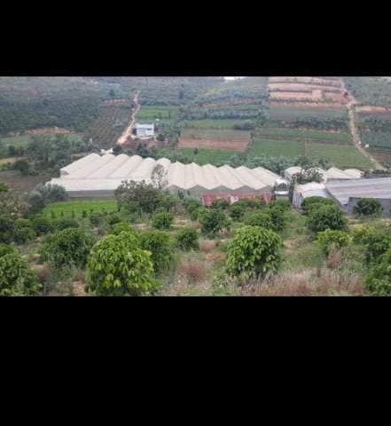 CHÍNH CHỦ CẦN BÁN 8.5 SÀO ĐẤT CÓ SẴN NHÀ CẤP 4 TẠI NAM HÀ – LÂM HÀ. LIÊN HỆ: 0915539353