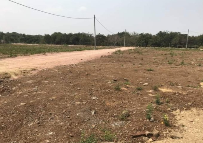 CẦN BÁN ĐẤT NỀN XÃ TÂY HÒA , HUYỆN TRẢNG BOM, ĐỒNG NAI. LIÊN HỆ: 0976480947