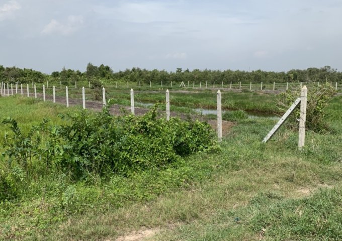 CHÍNH CHỦ BÁN LÔ ĐẤT DIỆN TÍCH 2993M2, CẠNH CTY MAY TÂN TIẾN – TÂN THẠNH ĐÔNG, CỦ CHI, HCM.