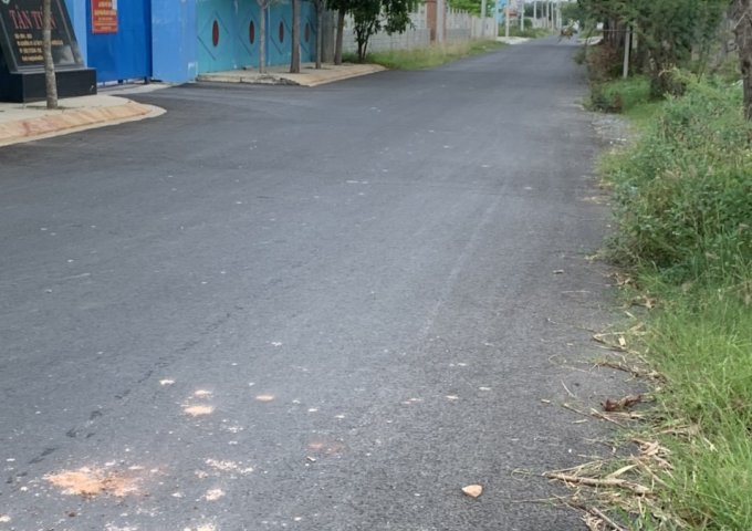 CHÍNH CHỦ BÁN LÔ ĐẤT DIỆN TÍCH 2993M2, CẠNH CTY MAY TÂN TIẾN – TÂN THẠNH ĐÔNG, CỦ CHI, HCM.