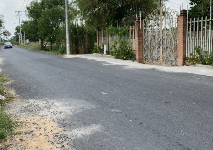 CHÍNH CHỦ BÁN LÔ ĐẤT DIỆN TÍCH 2993M2, CẠNH CTY MAY TÂN TIẾN – TÂN THẠNH ĐÔNG, CỦ CHI, HCM.