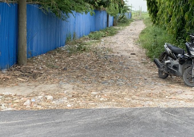 CHÍNH CHỦ BÁN LÔ ĐẤT DIỆN TÍCH 2993M2, CẠNH CTY MAY TÂN TIẾN – TÂN THẠNH ĐÔNG, CỦ CHI, HCM.