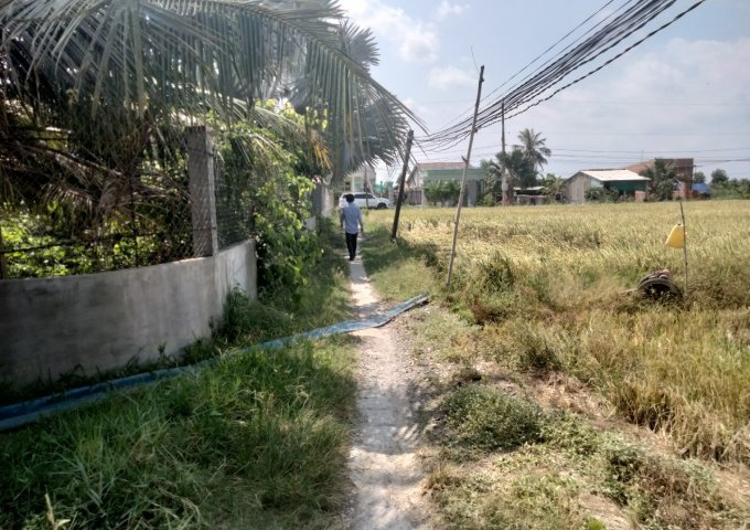 CHÍNH CHỦ CẦN BÁN LÔ ĐẤT ĐẸP 2 NỀN ẤP 6 XÃ AN NHỰT TÂN ,HUYỆN TÂN TRỤ, LONG AN.