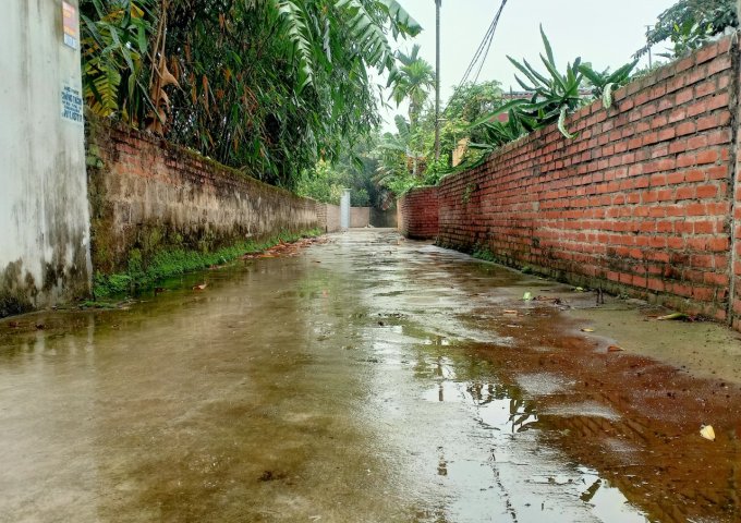 Chính Chủ Cần Bán Nhà Tại Thôn Câu Trung - Xã Quanh Hưng - Huyện An Lão -Tp. Hải Phòng .