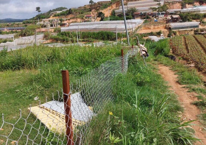 CHÍNH CHỦ CẦN BÁN NHANH LÔ ĐẤT NNPQ TẠI PHƯỜNG 7 – TP ĐÀ LẠT. LIÊN HỆ: 0839588890