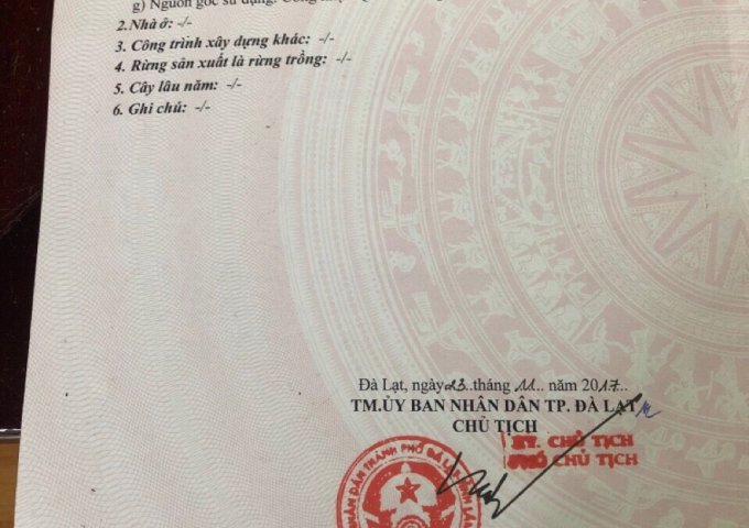 CHÍNH CHỦ CẦN BÁN NHANH LÔ ĐẤT NNPQ TẠI PHƯỜNG 7 – TP ĐÀ LẠT. LIÊN HỆ: 0839588890