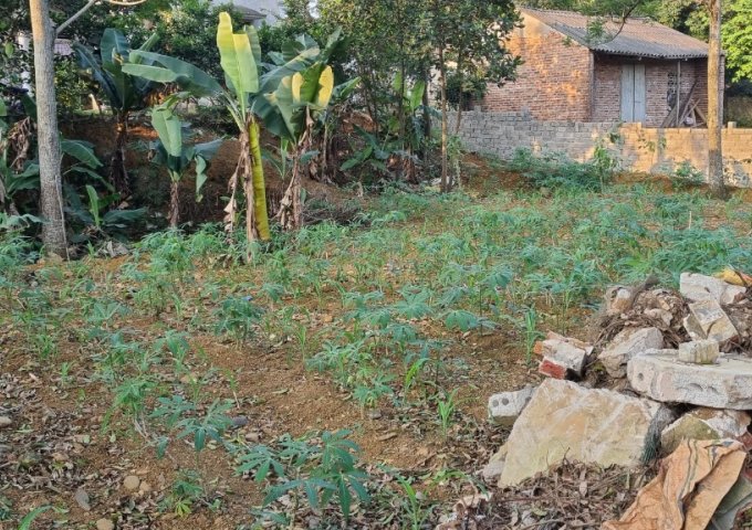 chính chủ bán 372m full thổ tại nam phương tiến chương mỹ hà nội 