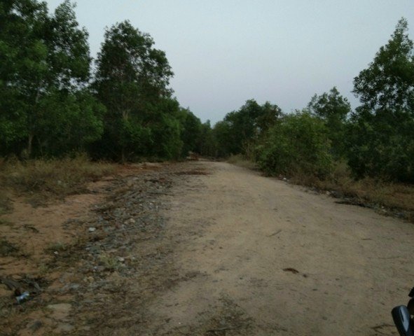 CẦN SANG NHƯỢNG 20HA ĐẤT TẠI XÃ HỒNG PHONG, BẮC BÌNH, BÌNH THUẬN.