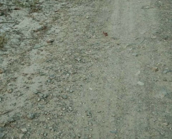 CẦN SANG NHƯỢNG 20HA ĐẤT TẠI XÃ HỒNG PHONG, BẮC BÌNH, BÌNH THUẬN.