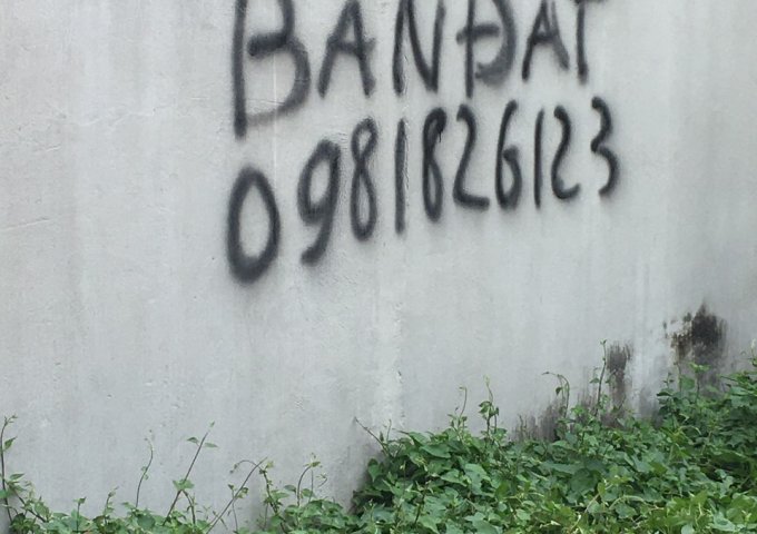 BÁN GẤP 2 LÔ ĐẤT VỊ TRÍ ĐĂC ĐỊA TẠI ĐƯỜNG HOÀNG BẬT ĐẠT, PHƯỜNG 15, QUẬN TÂN BÌNH, TPHCM . LH 0981826123