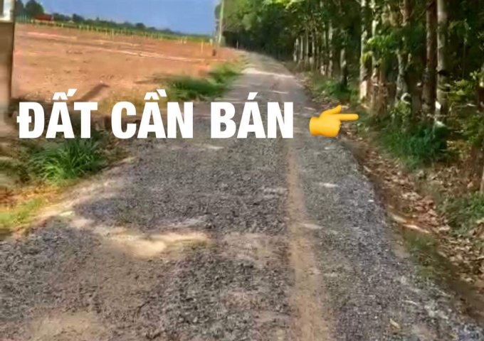 BÁN ĐẤT GIÁP RANH TP TÂY NINH, GẦN KDL NÚI BÀ ĐEN - XÃ SUỐI ĐÁ, H.DƯƠNG MINH CHÂU, TN. LH: 0907 083388 VÀ 0937049944