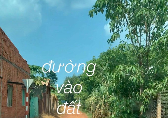 BÁN ĐẤT GIÁP RANH TP TÂY NINH, GẦN KDL NÚI BÀ ĐEN - XÃ SUỐI ĐÁ, H.DƯƠNG MINH CHÂU, TN. LH: 0907 083388 VÀ 0937049944