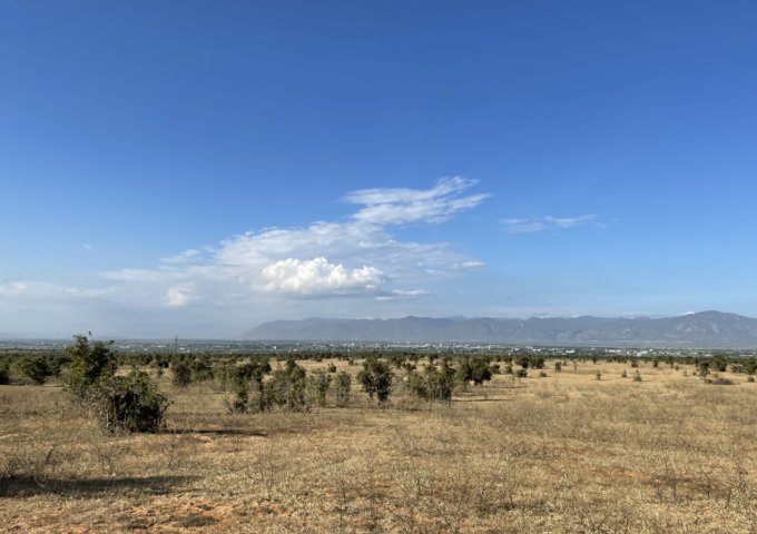 BÁN 4647M2 ĐẤT CẠNH KHU DU LỊCH BÀU TRẮNG, THỊ TRẤN CHỢ LẦU, BẮC BÌNH, BÌNH THUẬN. LH: 0788 969 474