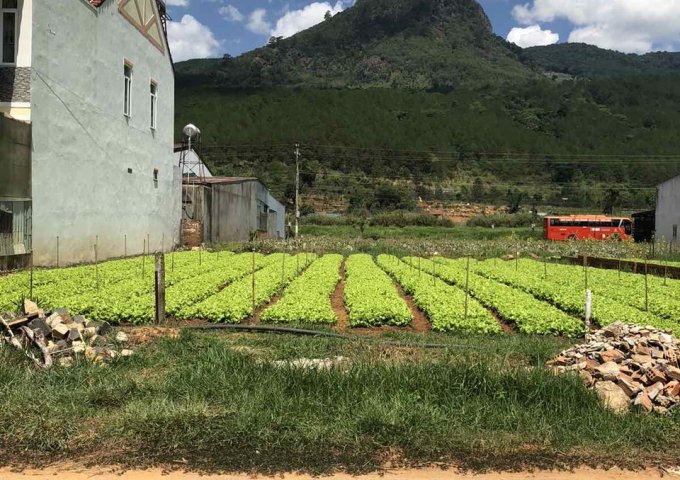 CHÍNH CHỦ CẦN BÁN LÔ ĐẤT THỔ CƯ TẠI HIỆP AN – ĐỨC TRỌNG. LIÊN HỆ: 0934913579